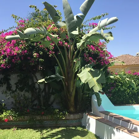 Andaluz *